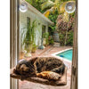Grabby Loots™ Cat Window Hammock